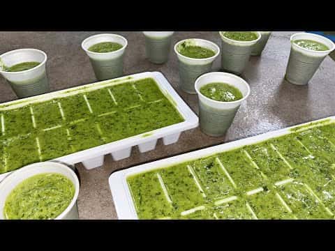 Pesto alla Genovese fatto in casa senza mortaio