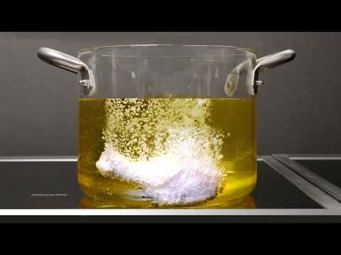 Science-Backed Fried Chicken