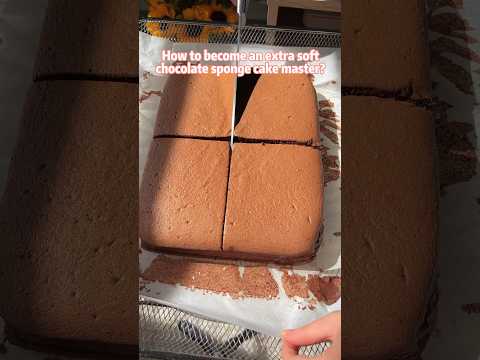 5 Chocolate Dessert Recipes: Which One Fits Your Skill and Craving?
