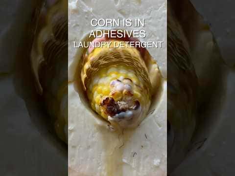 No cooking content detected