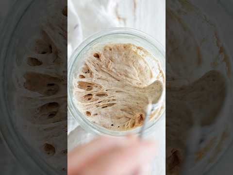 Homemade Sourdough Starter