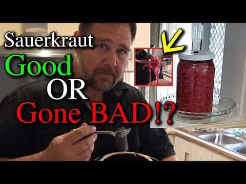Fermented Red Cabbage Sauerkraut (Testing & Bottling)
